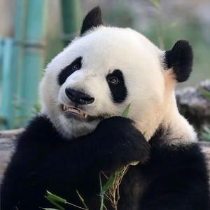 云飘渺