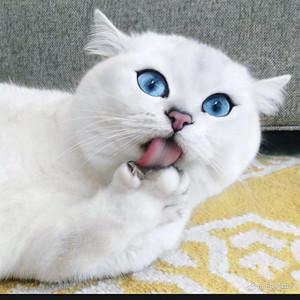 秋煜兮