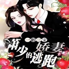 一胎两宝：萧少的逃跑娇妻 | 现代言情 豪门世家